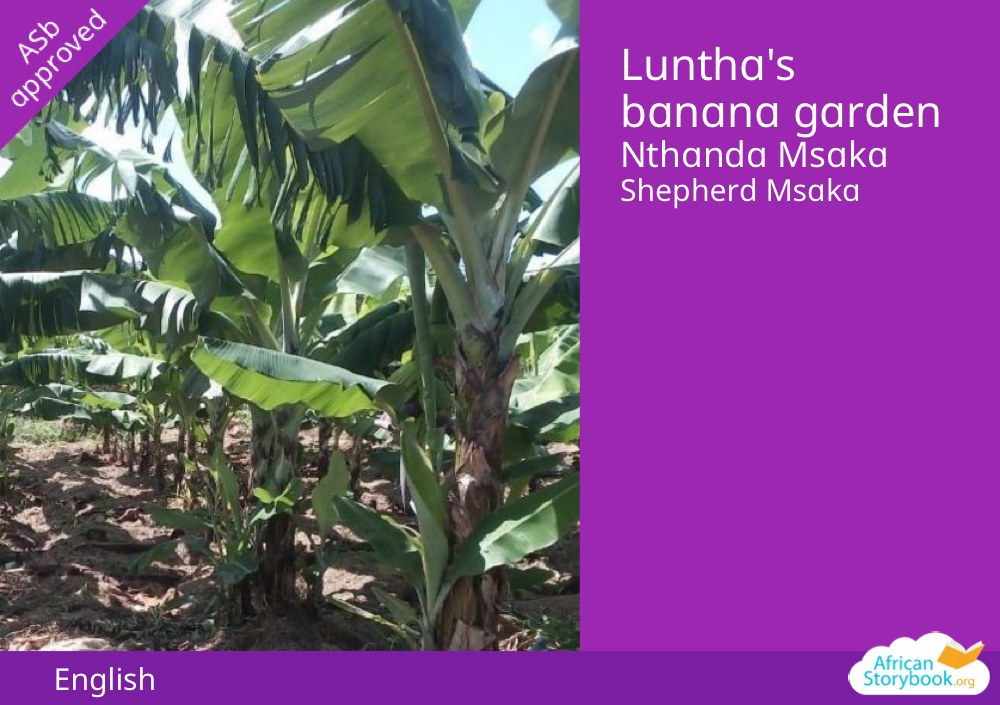 Luntha's banana garden