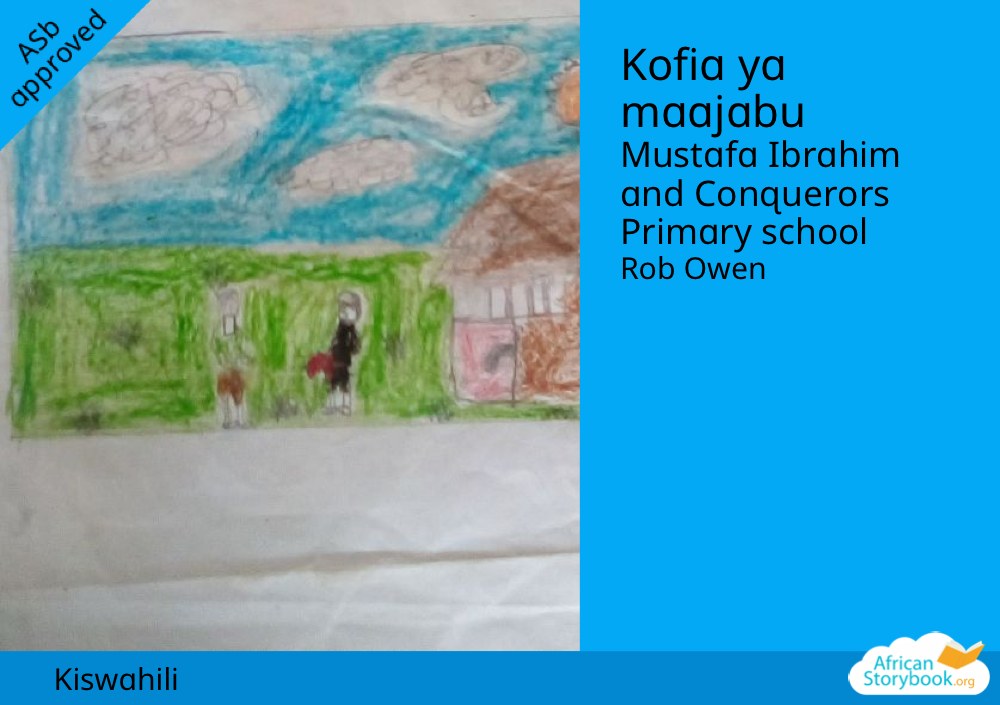 Kofia ya maajabu