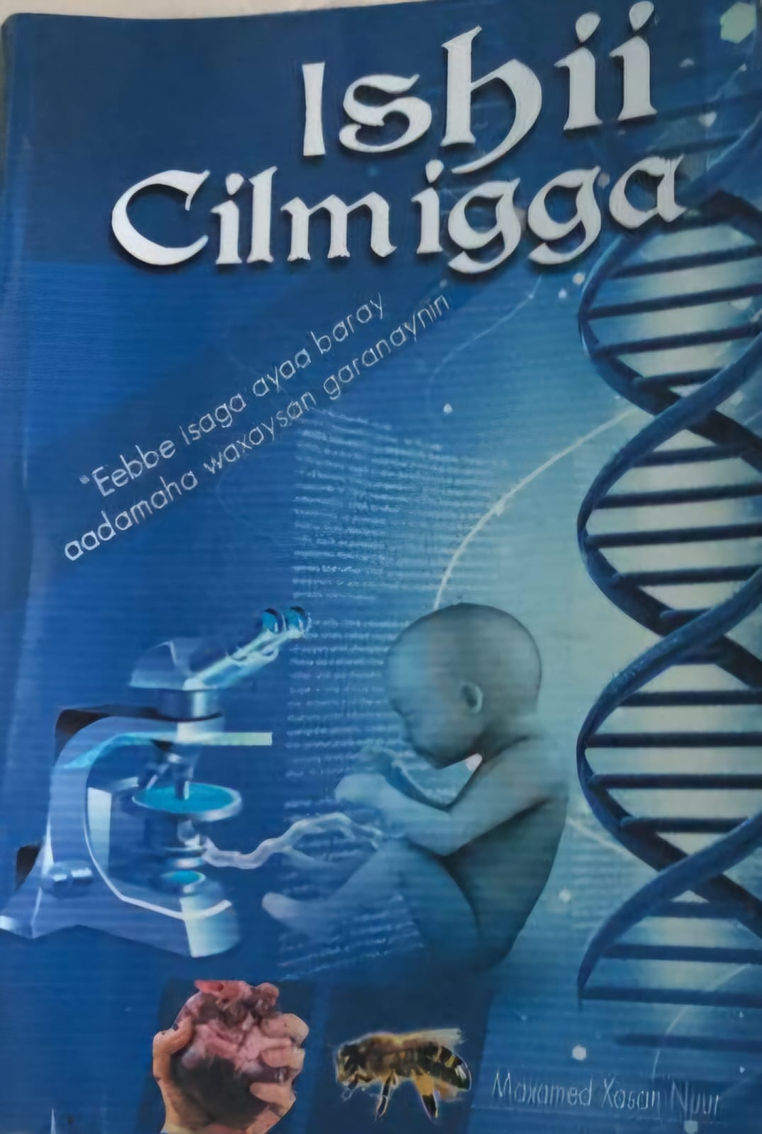 Ishii Cilmiga