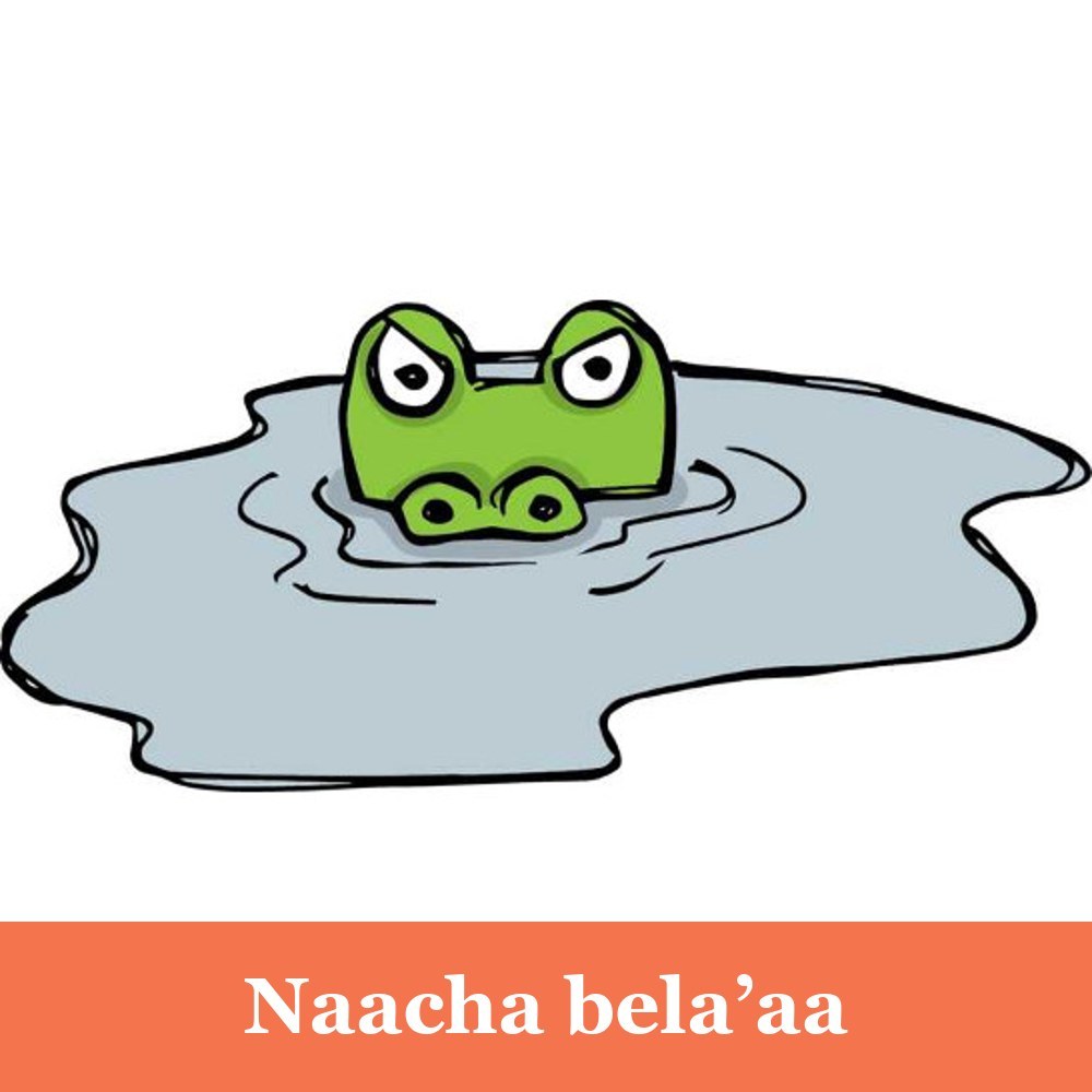 Naacha bela’aa