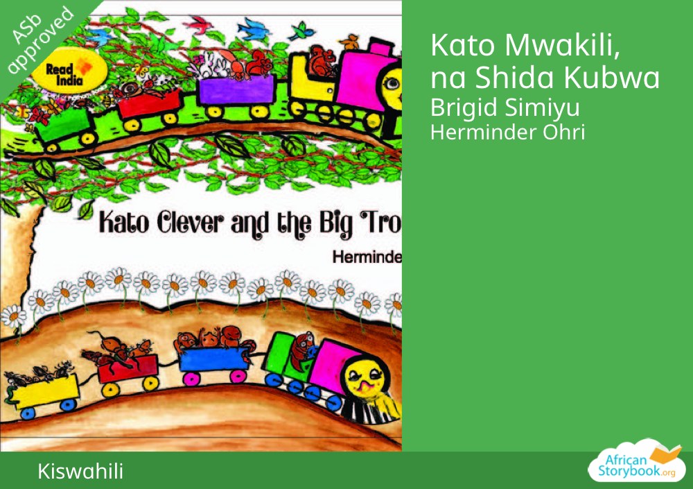 Kato Mwakili, na Shida Kubwa