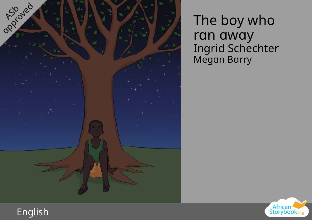 The boy who ran away