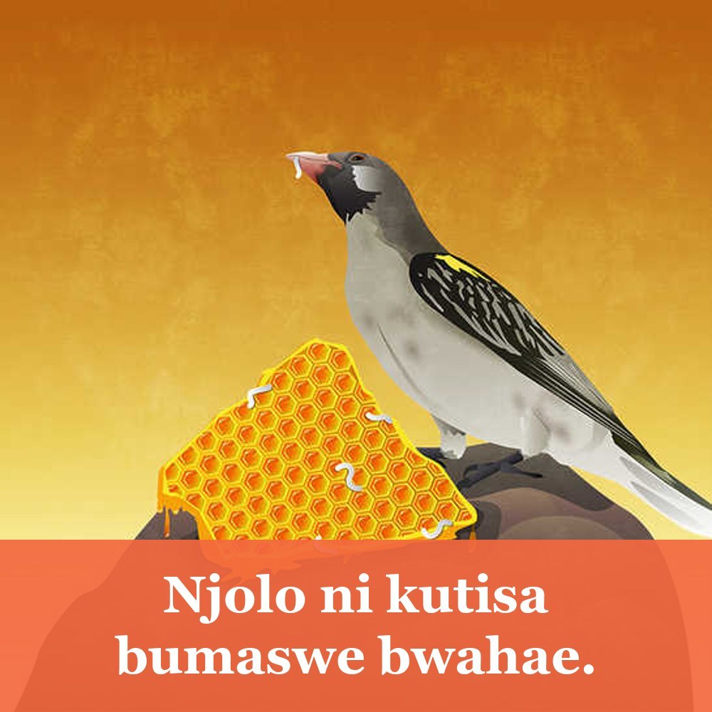 Njolo ni kutisa bumaswe bwahae.