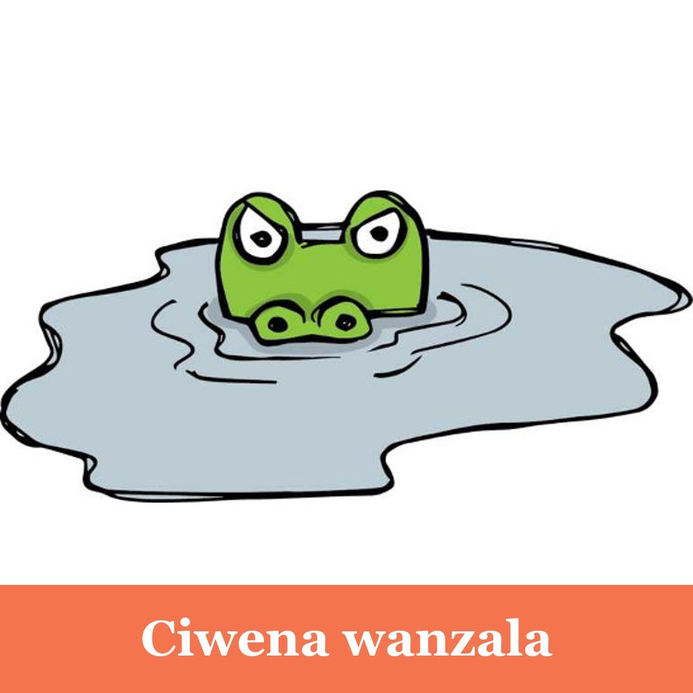 Ciwena wanzala