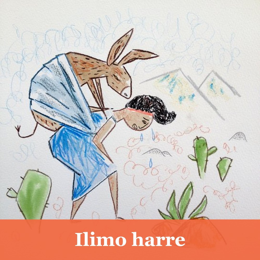 Ilimo harre