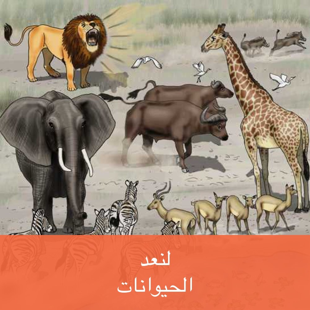 لِنَعُدَّ الحَيَوَانَاتِ