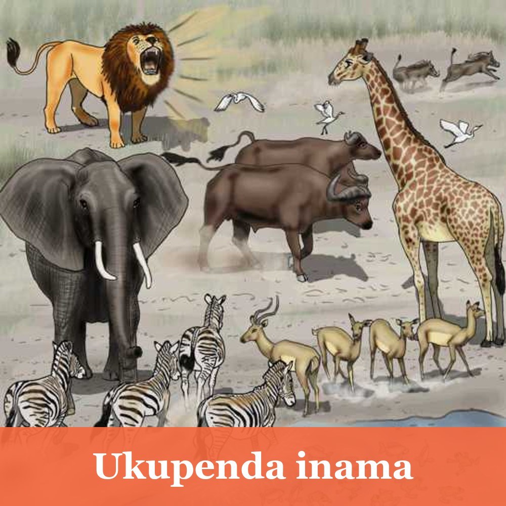 Ukupenda inama
