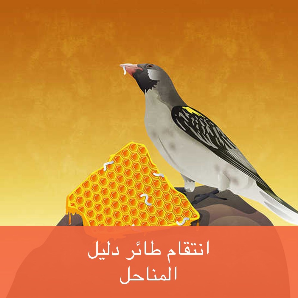 انتقام طائر دليل المناحل