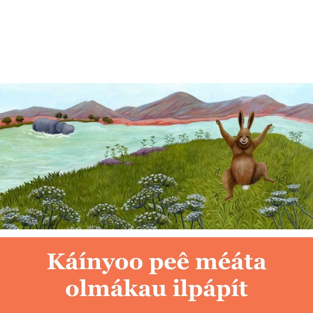 Káínyoo peê méáta olmákau ilpápít