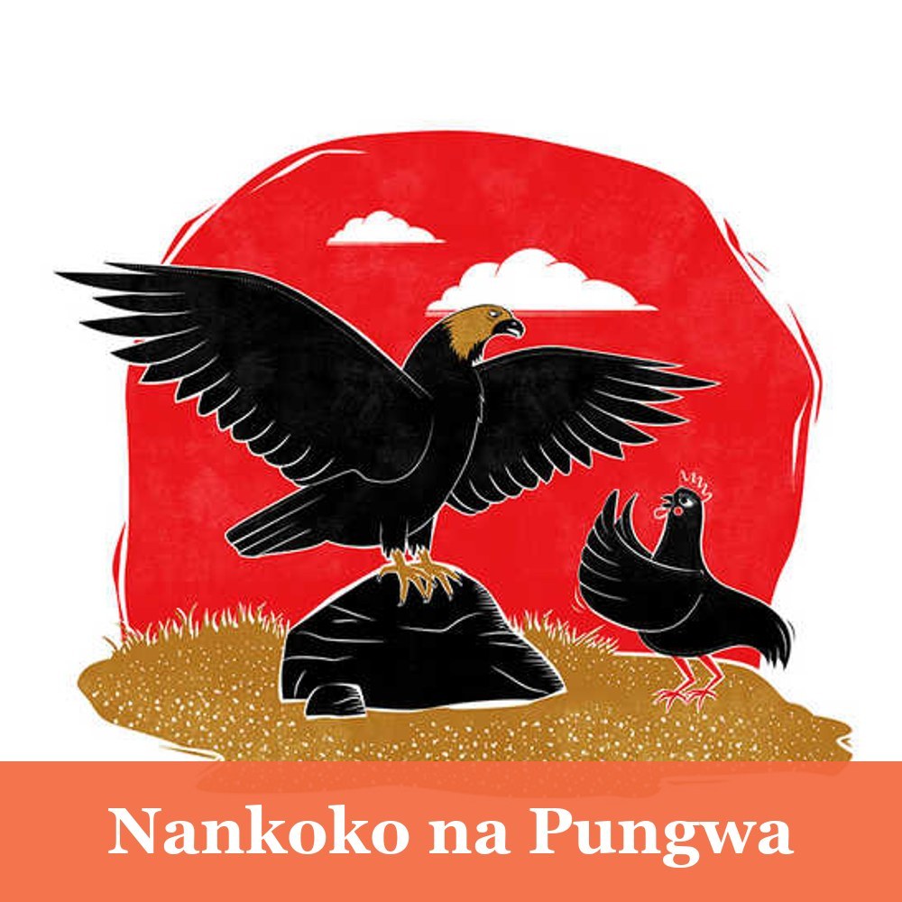 Nankoko na Pungwa