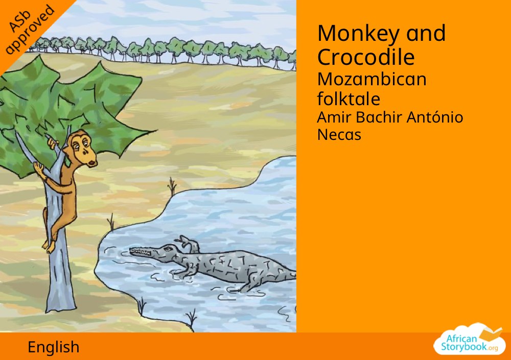Monkey and Crocodile