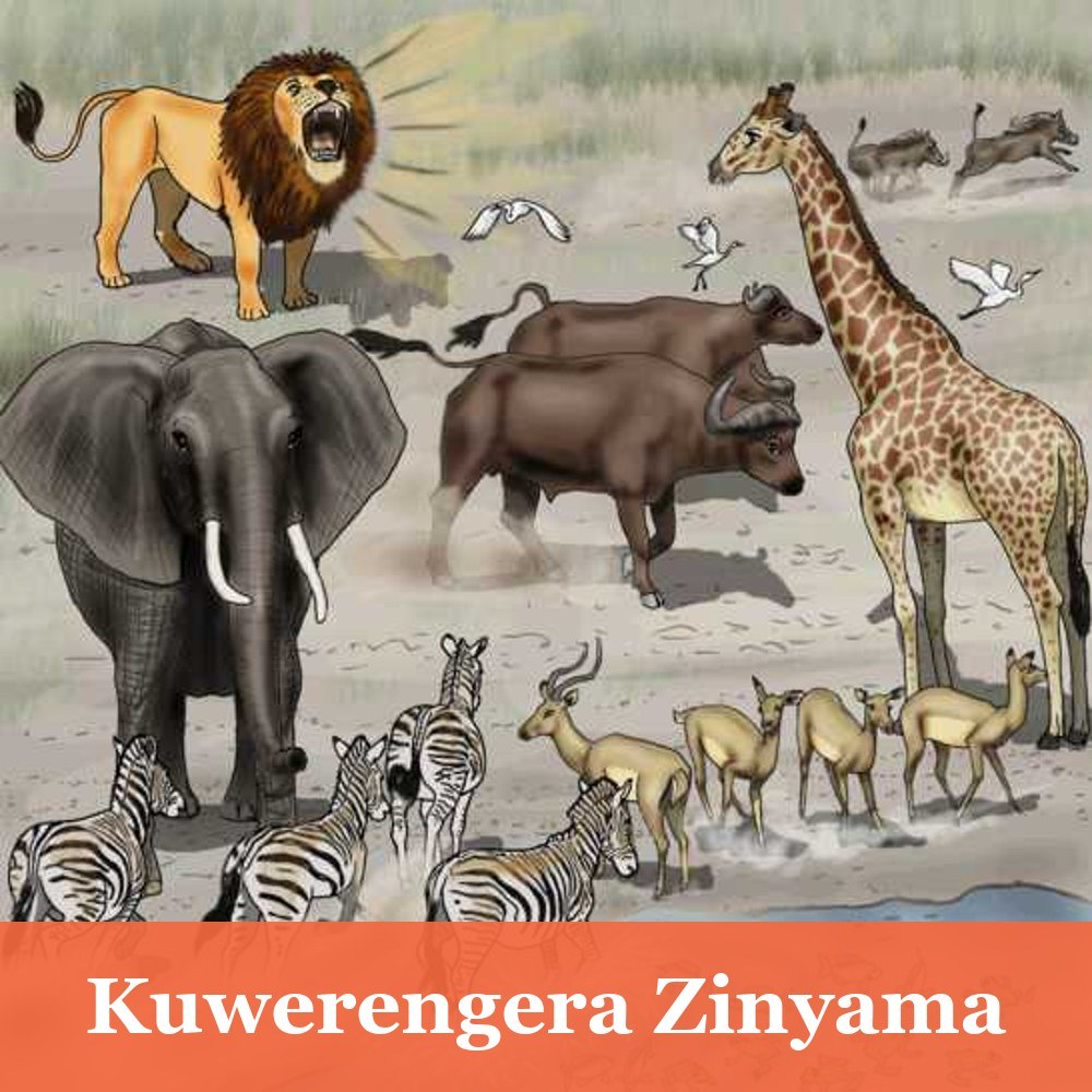 Kuwerengera Zinyama