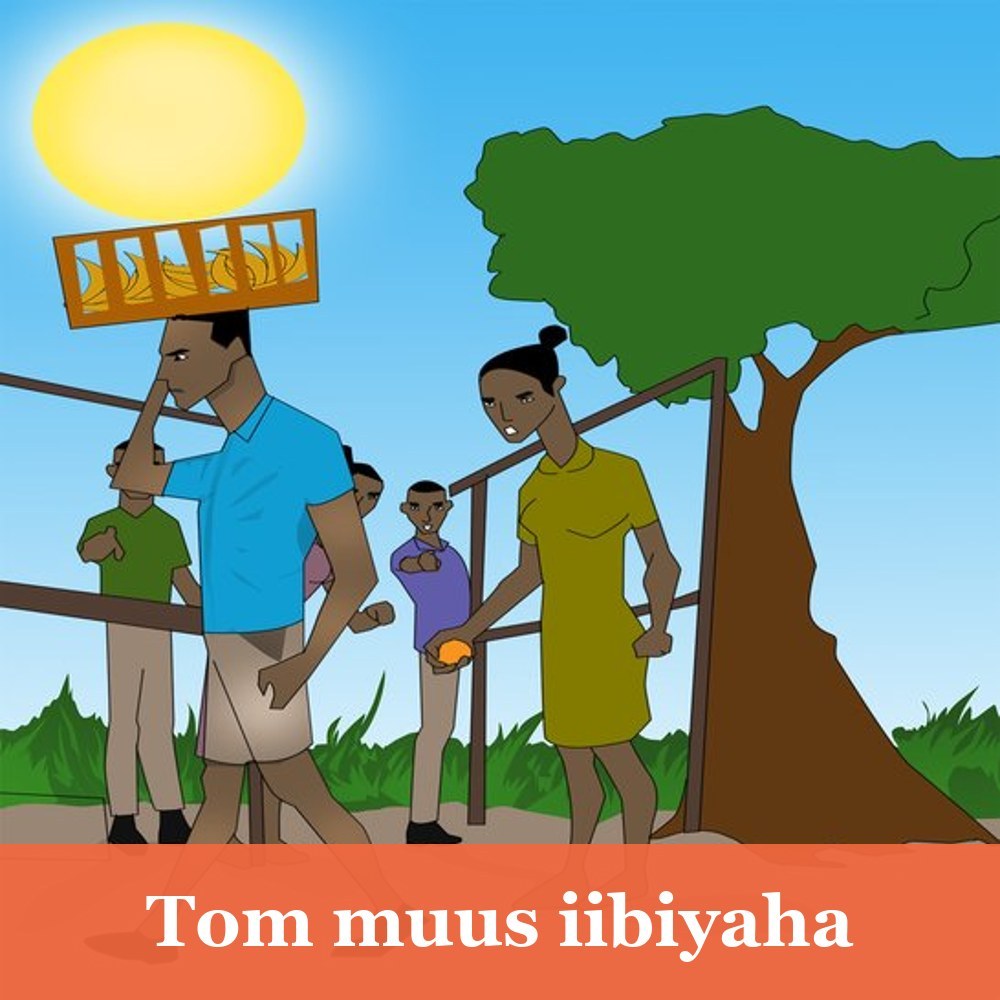 Tom muus iibiyaha