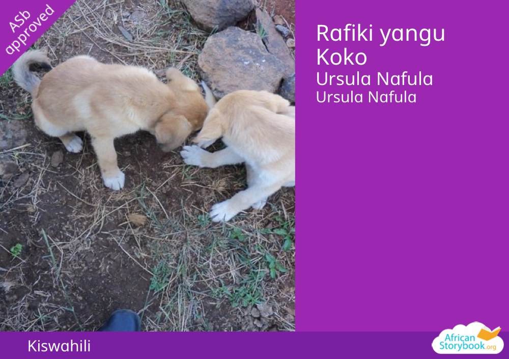 Rafiki yangu Koko