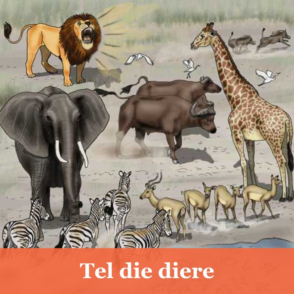 Tel die diere