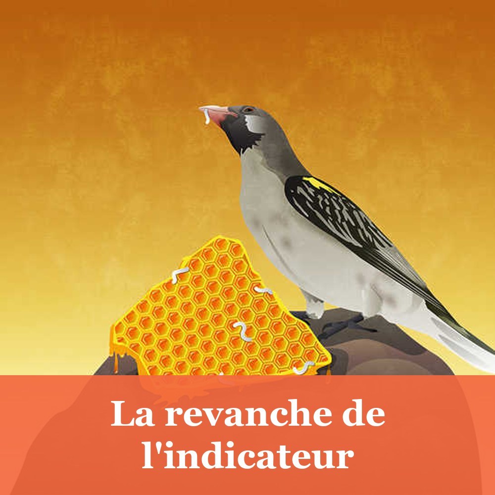 La revanche de l'indicateur