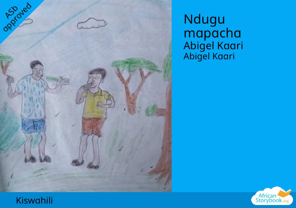Ndugu mapacha