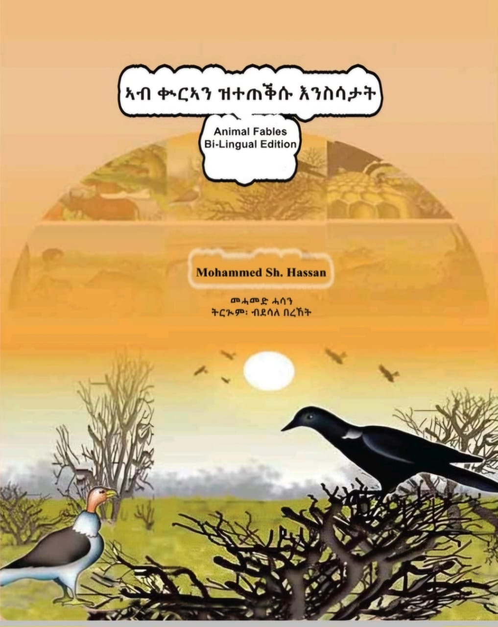 ጽውጽዋይ፡ “ወደኮይ ጽሉማይ!”