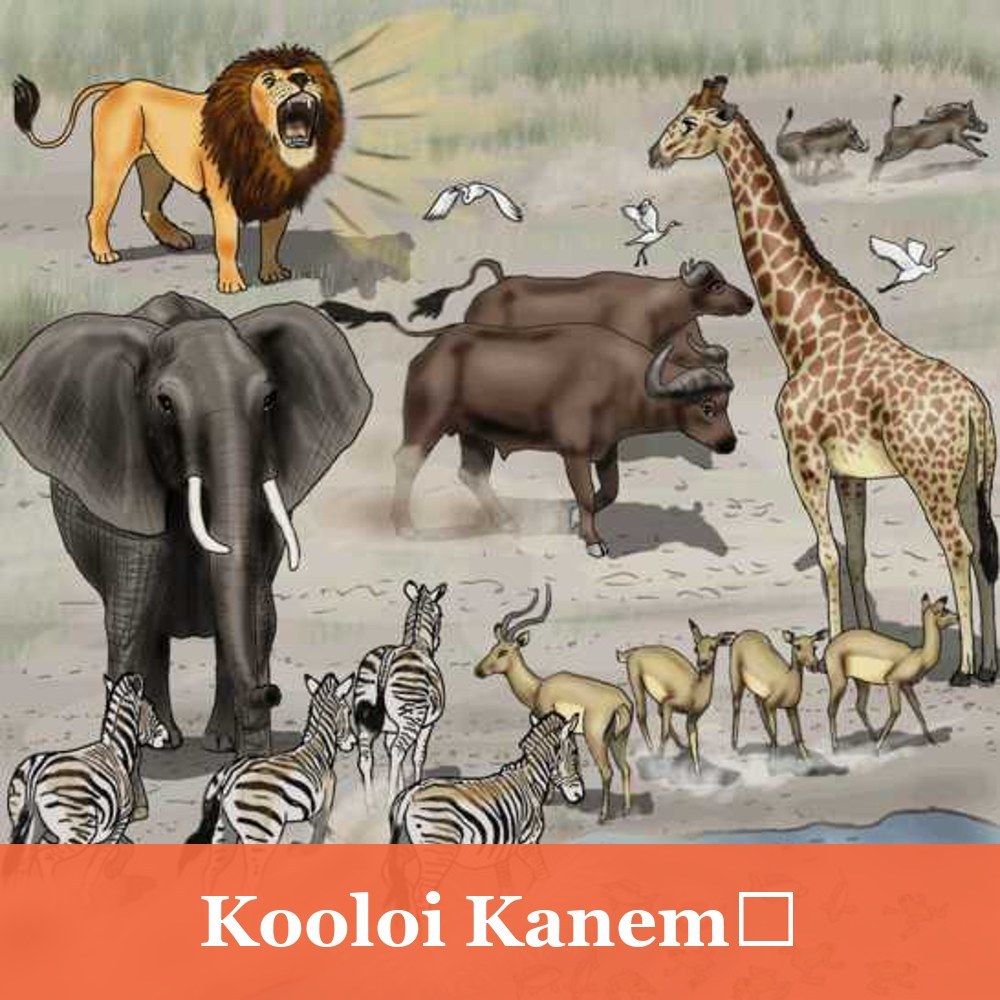 Kooloi Kanemɔ