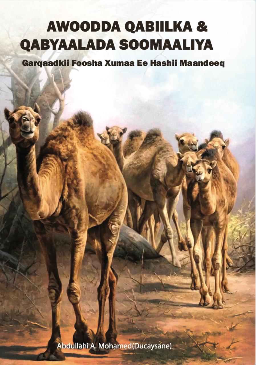 Awoodda Qabiilka & Qabyaaladda Soomaaliya 2