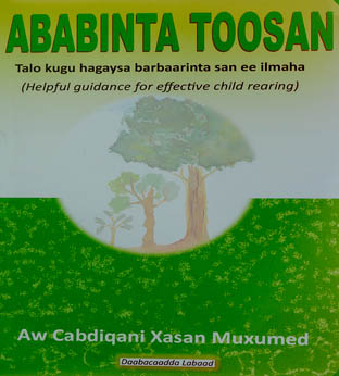 Ababinta Toosan