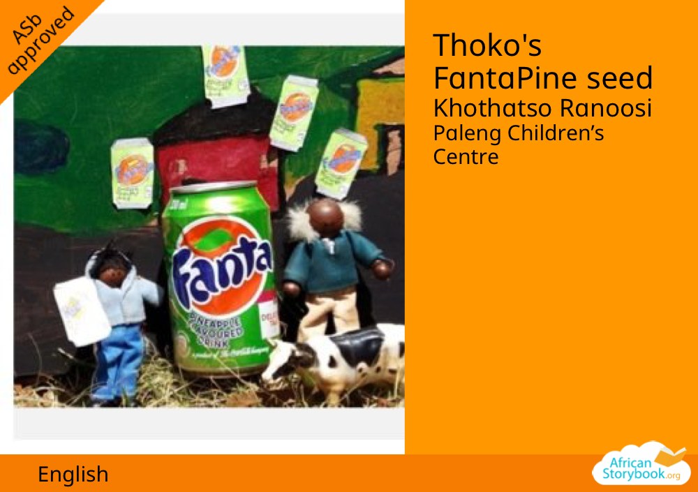 Thoko's FantaPine seed
