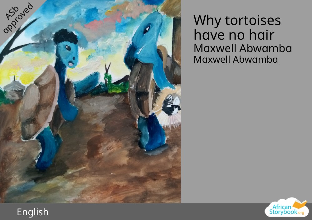 Why tortoises have no hair