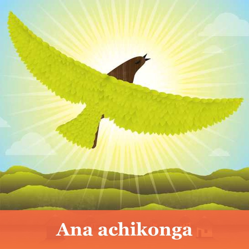 Ana achikonga