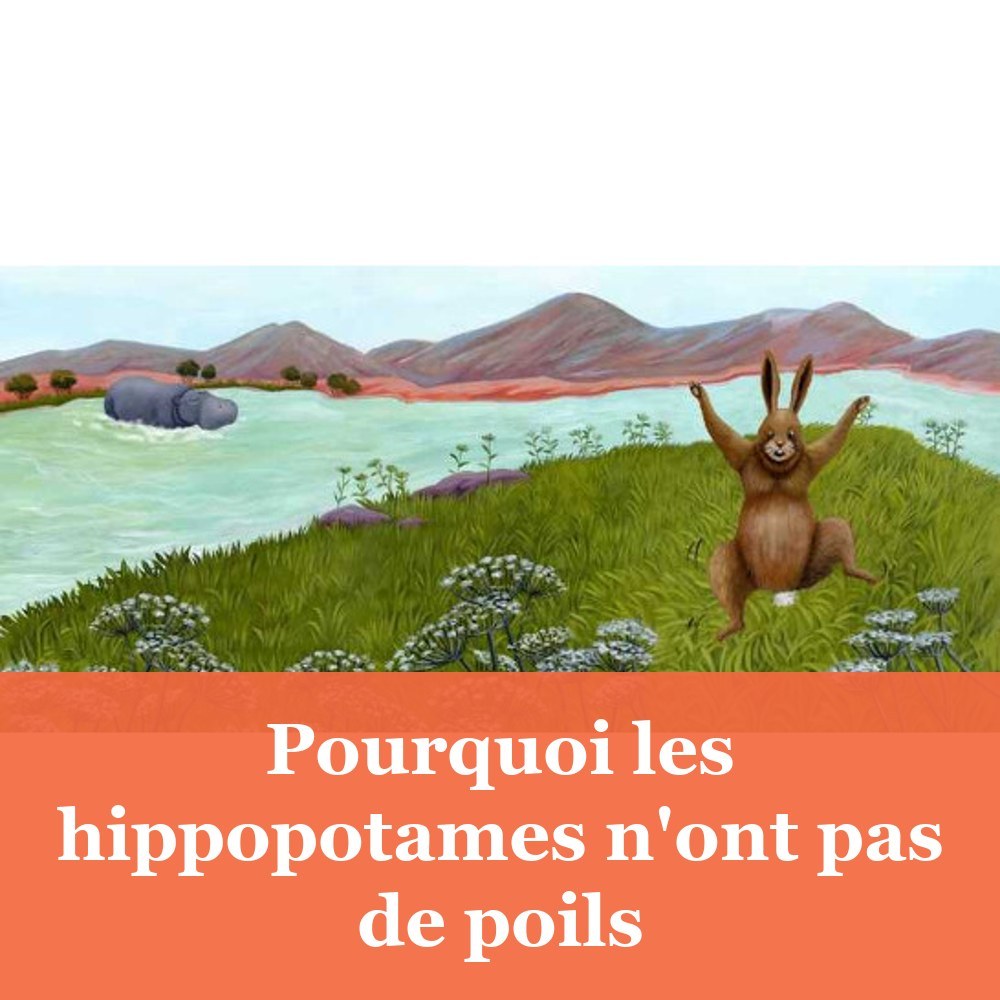 Pourquoi les hippopotames n'ont pas de poils