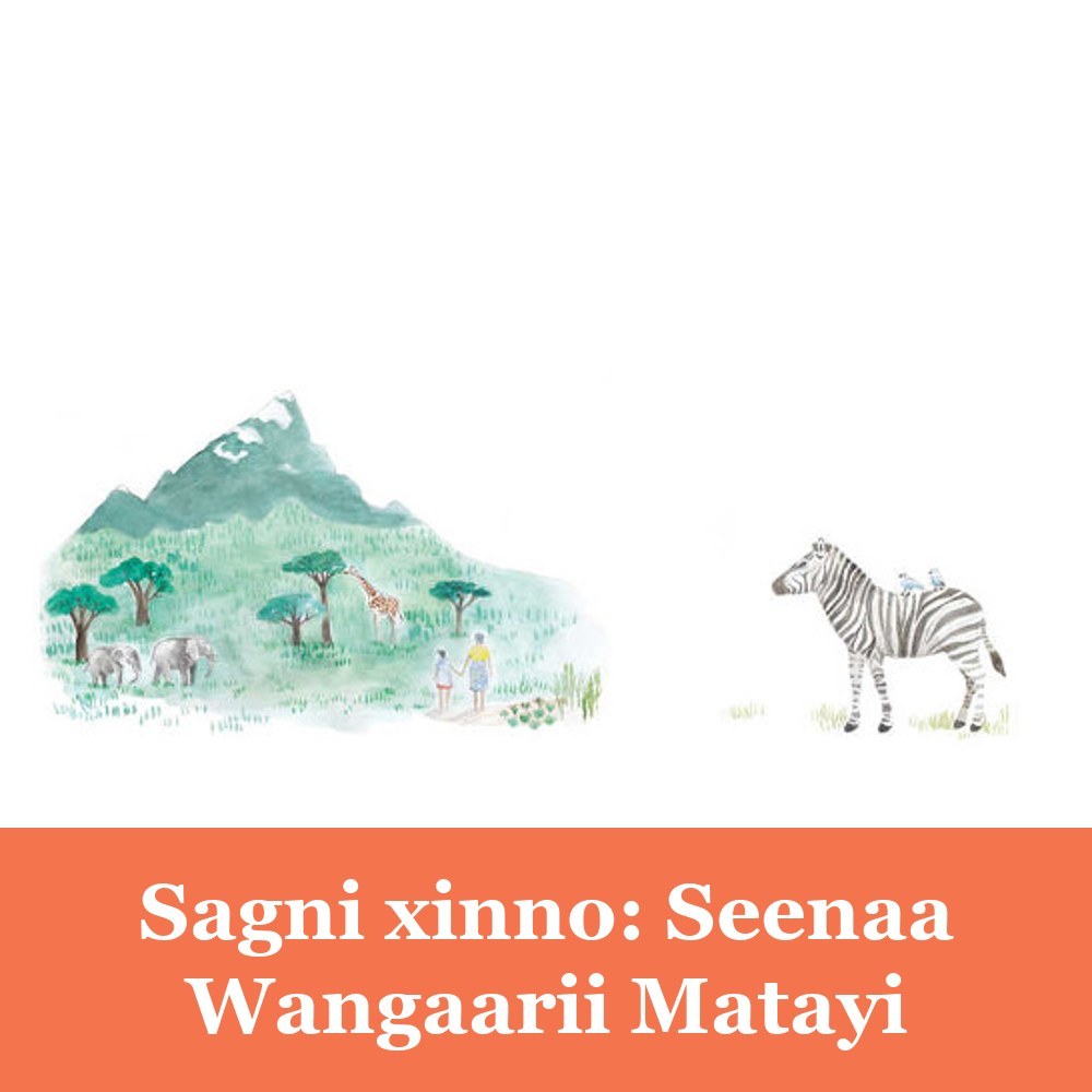Sagni xinno: Seenaa Wangaarii Matayi