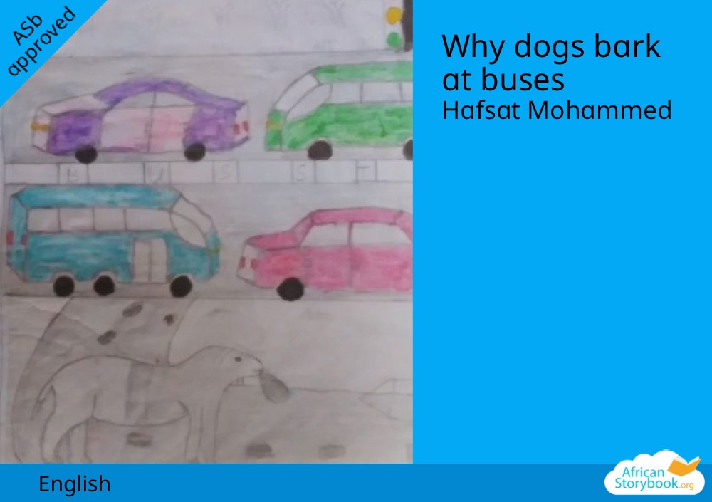 Why dogs bark at buses