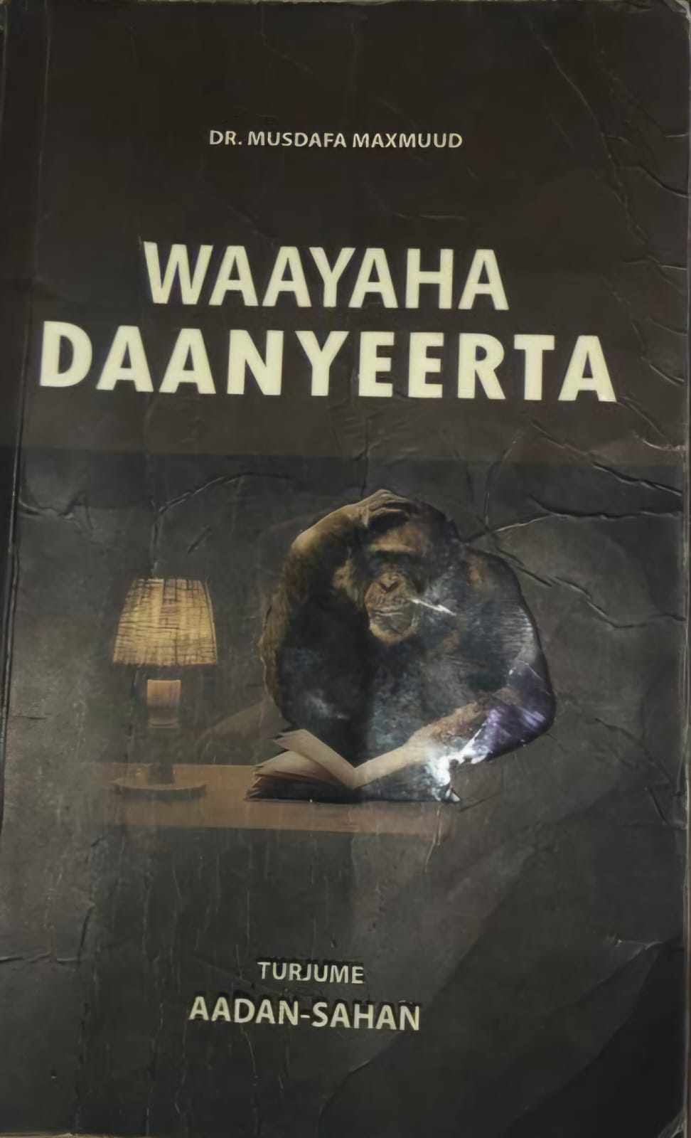 Waayaha Daanyeerta