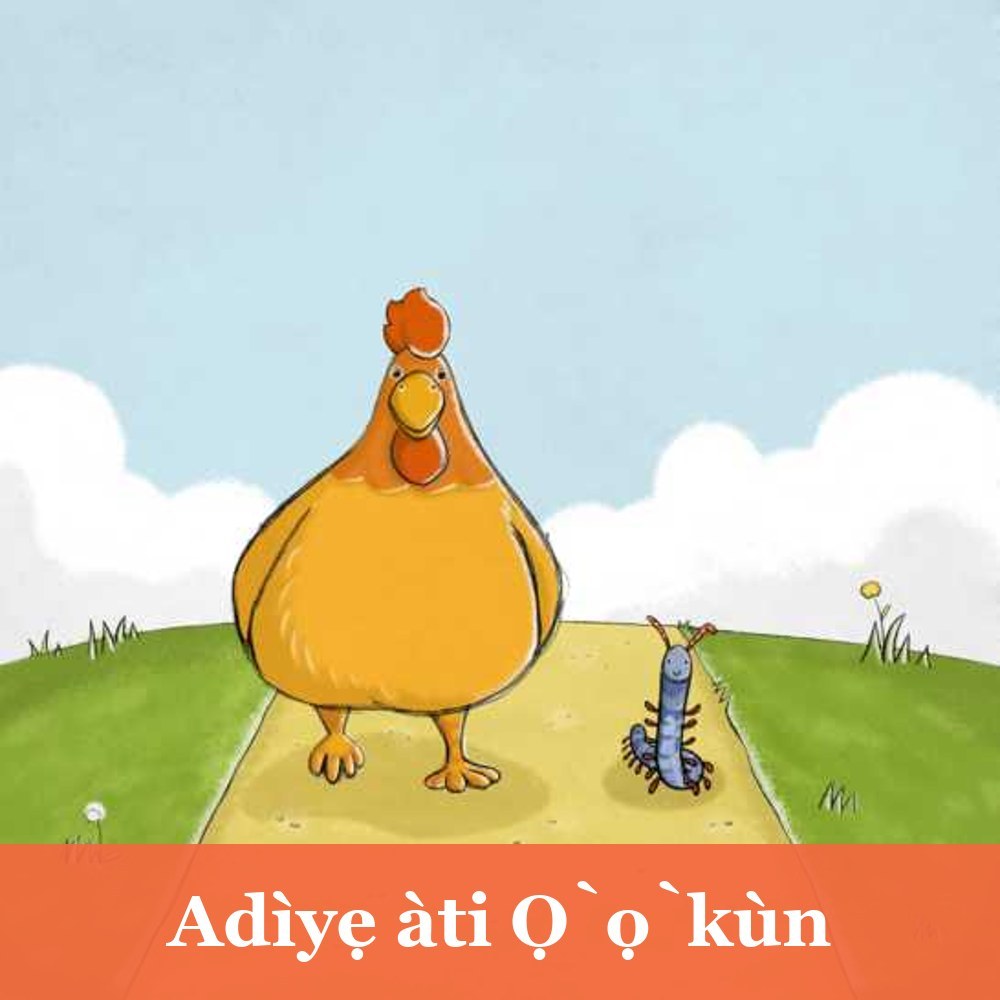 Adìyẹ àti Ọ̀ọ̀kùn
