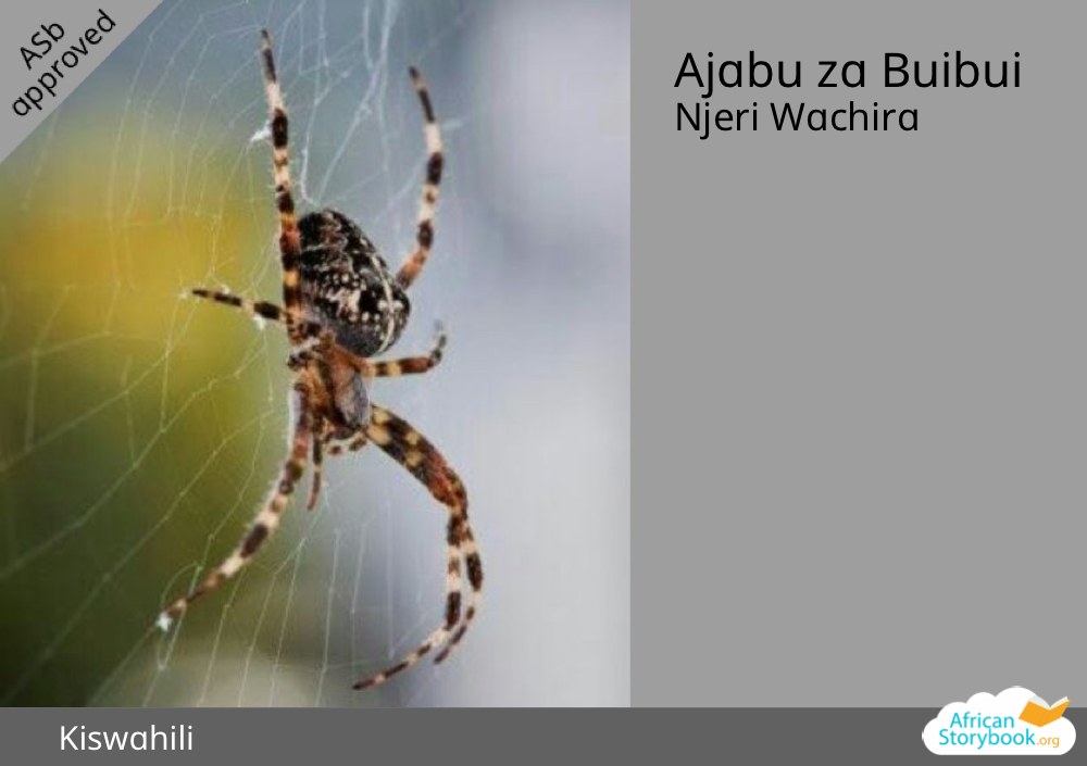 Ajabu za Buibui