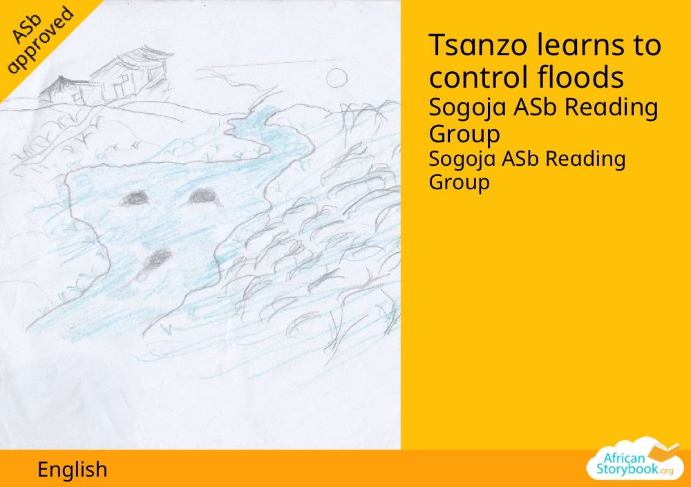 Tsanzo learns to control floods
