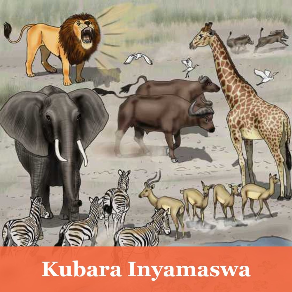 Kubara Inyamaswa