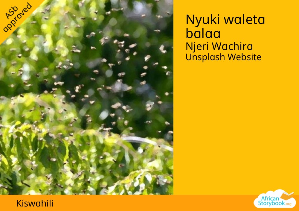 Nyuki waleta balaa