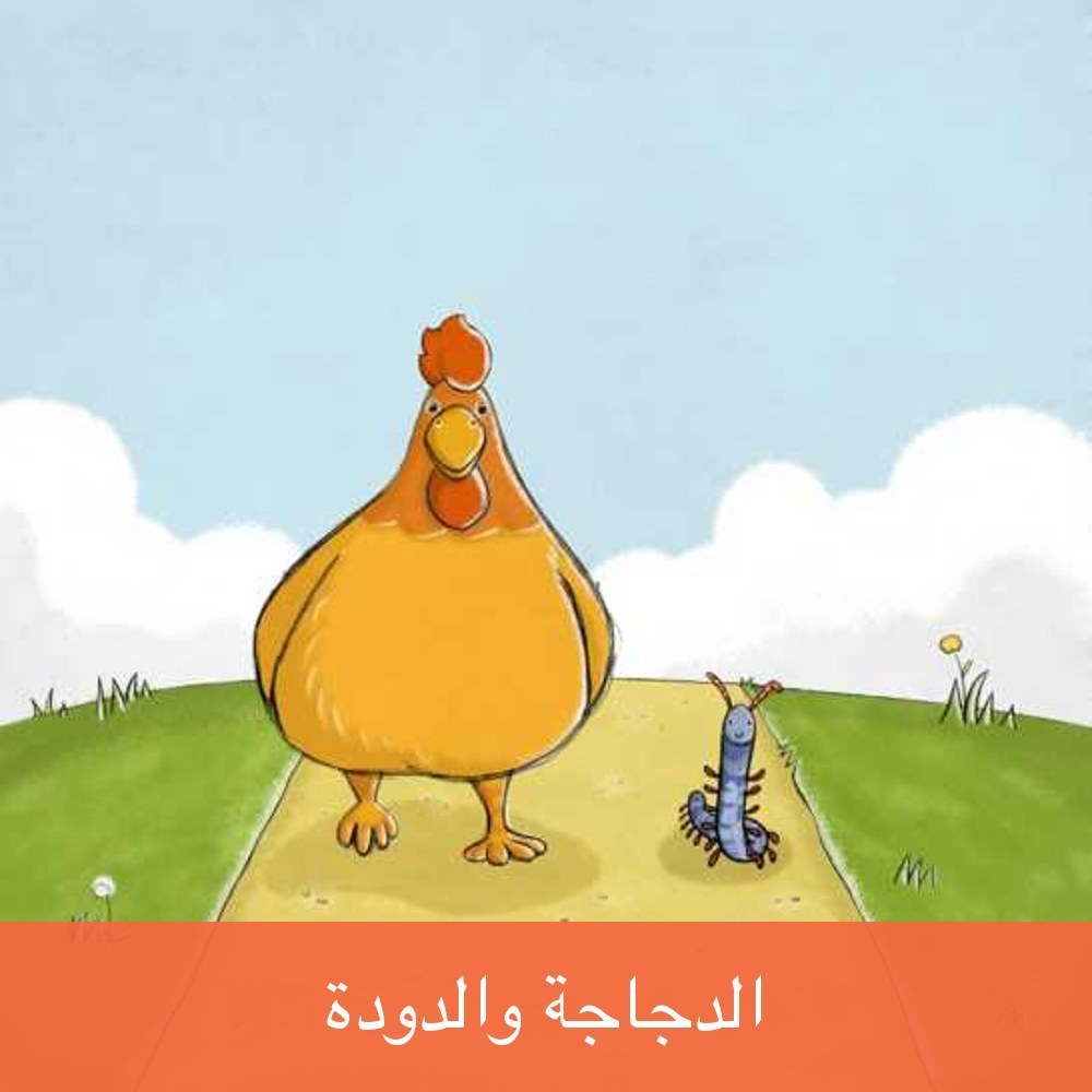 الدجاجة والدودة