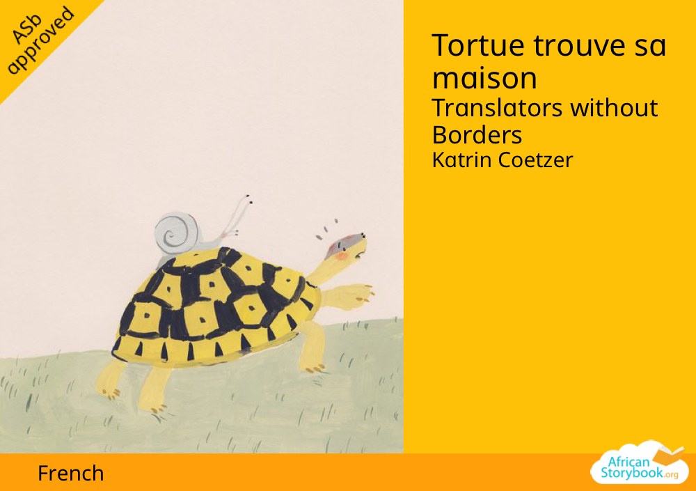 Tortue trouve sa maison
