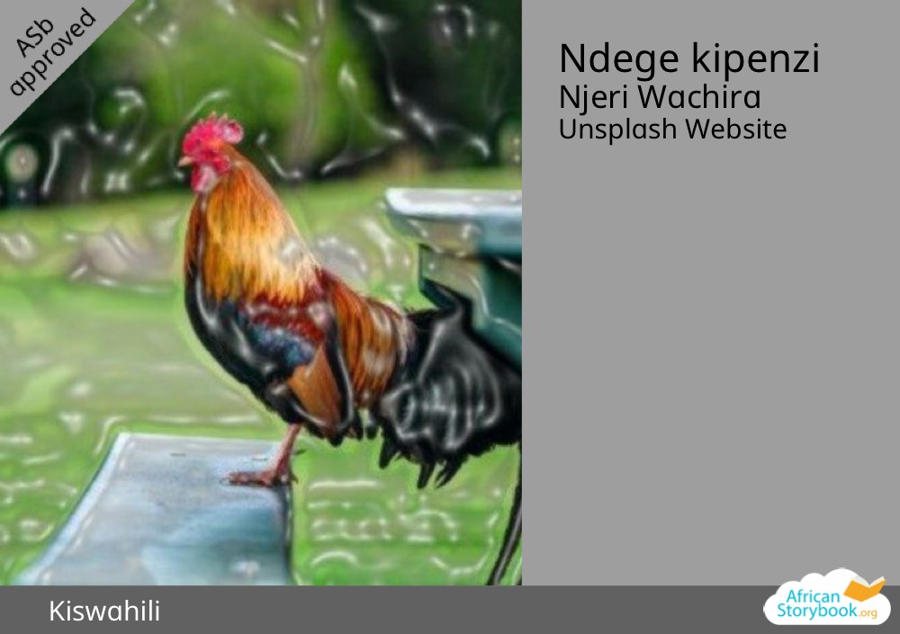 Ndege kipenzi