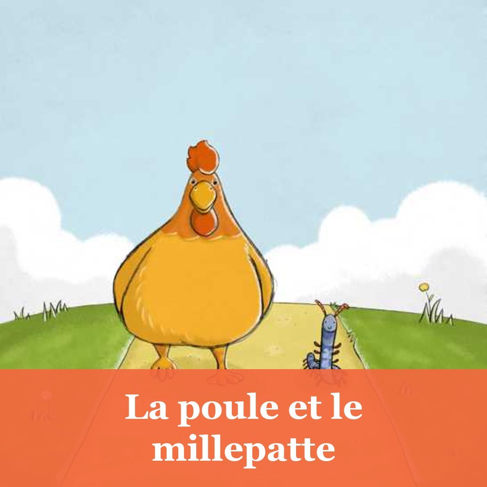 La poule et le millepatte