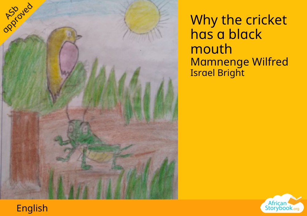 Why the cricket has a black mouth