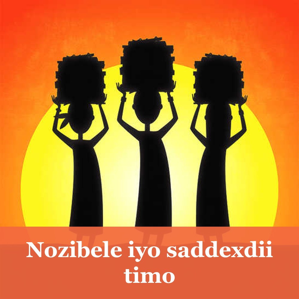 Nozibele iyo saddexdii timo