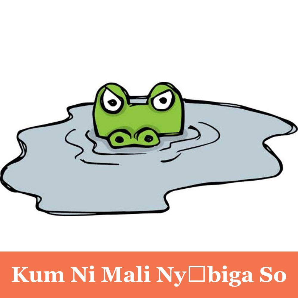 Kum Ni Mali Nyɛbiga So