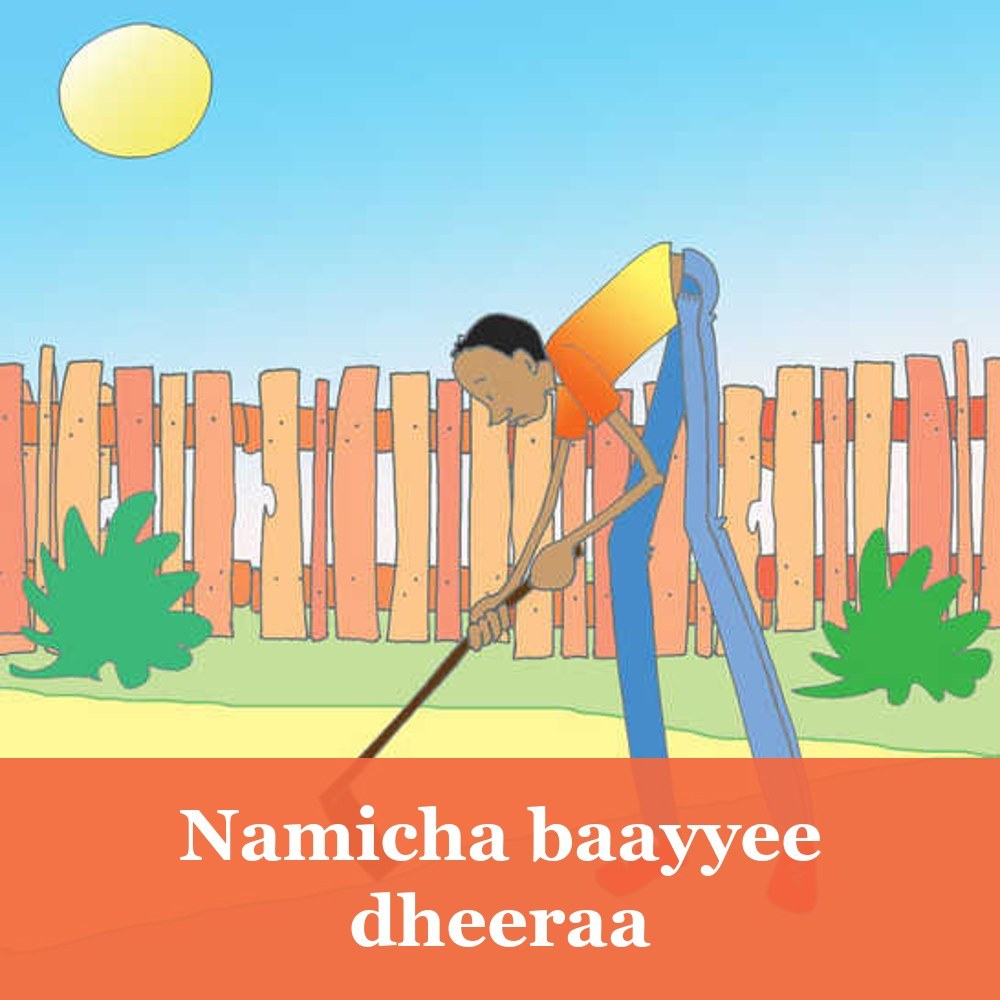 Namicha baayyee dheeraa