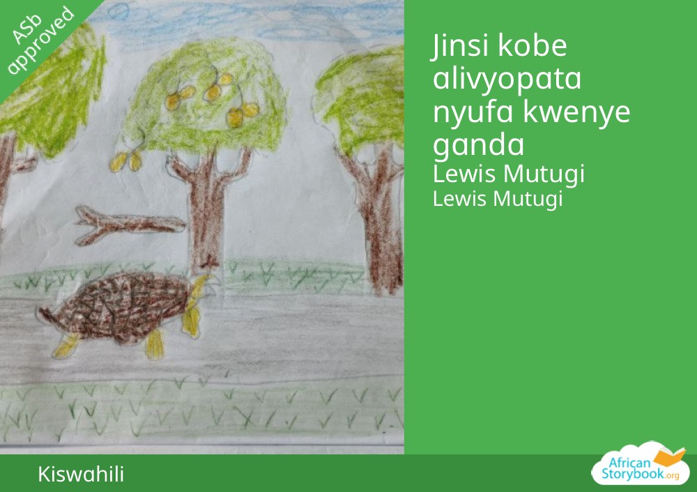Jinsi kobe alivyopata nyufa kwenye ganda