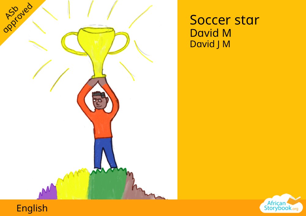Soccer star