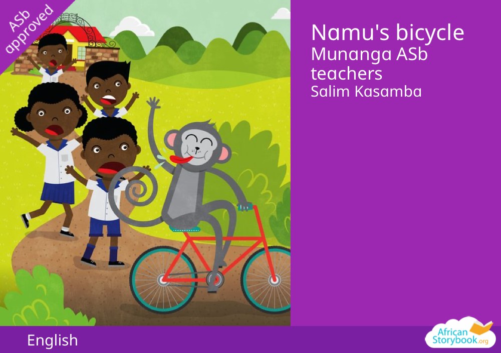 Namu's bicycle