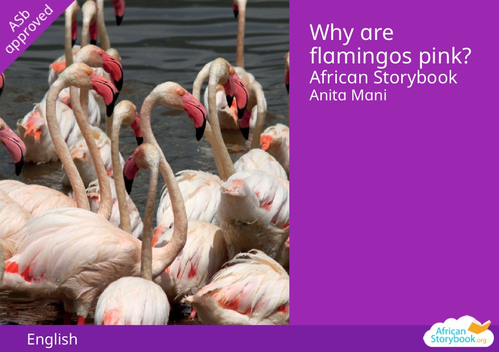 Why are flamingos pink?