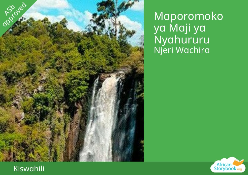 Maporomoko ya Maji ya Nyahururu